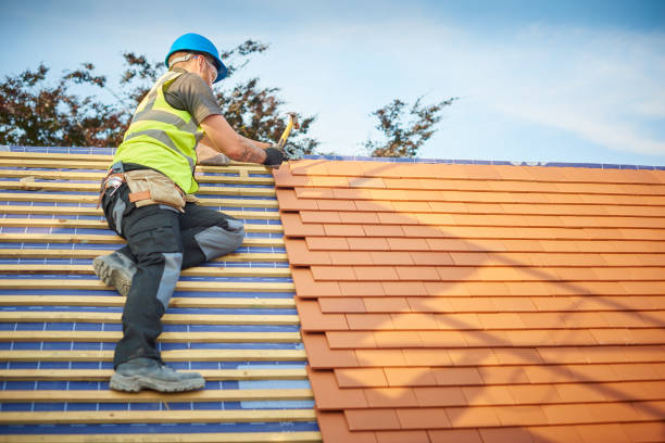 Best Skylight Installation and Repair  in Pembroke, VA